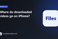Guide cover: where downloaded videos go on iPhone