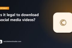 Guide cover: is it legal to download social media videos?